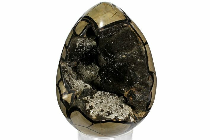 Septarian Dragon Egg Geode - Black Crystals #110881